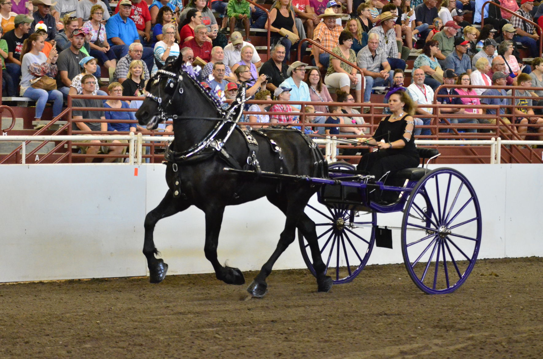 8-25-19 Draft Horse Hitch Final (24).JPG